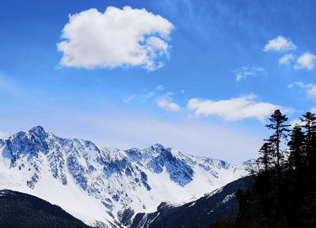 Towering into the sky 5