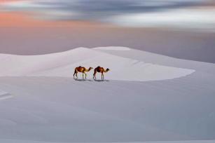 Dune