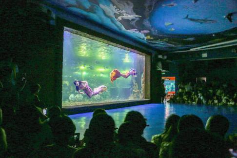 Aquarium Tour 33