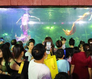 Aquarium Tour 34