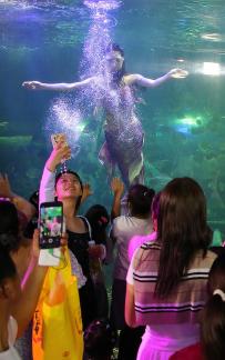 Aquarium Tour 35