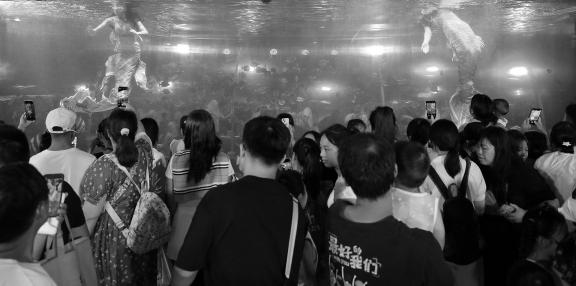 Aquarium Tour 37