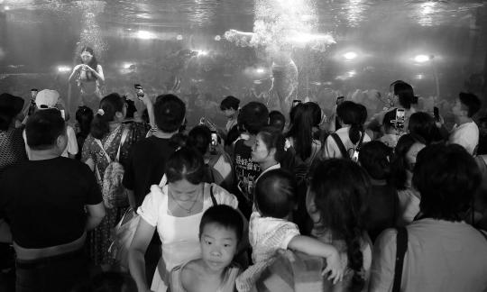 Aquarium Tour 39
