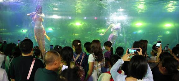 Aquarium Tour 41
