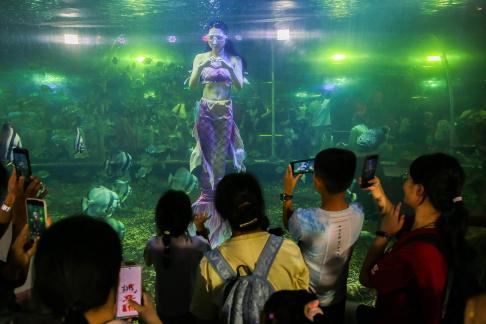 Aquarium Tour 43