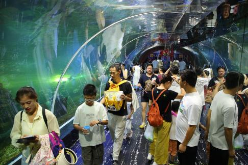 Aquarium Tour 46