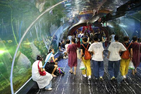 Aquarium Tour 47