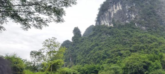 Yangshuo Scenery 16