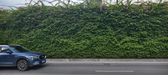 tracery wall 2