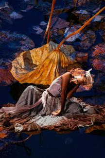 Dance of the withered lotus
