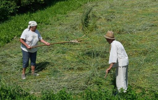 Harvesters Breb 02