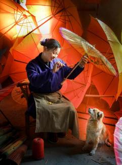 Oil paper umbrella factory visitors