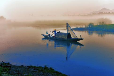 Morning Fog Boat