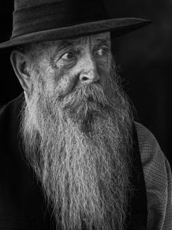 Grey Beard