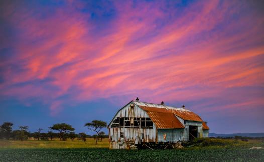 An Abandoned Farm House