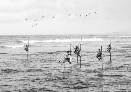 Sri Lanka Stilt Fishing 2