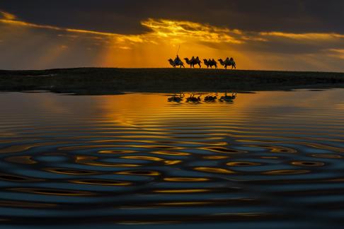 Camel Bell Sunset