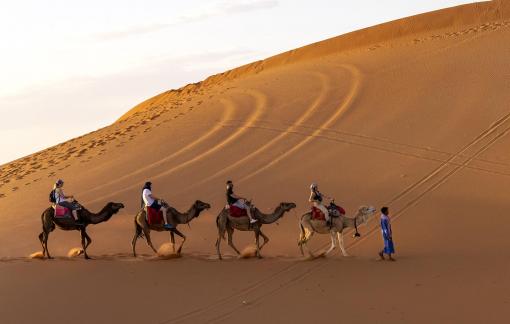 Sahara Camel Riders