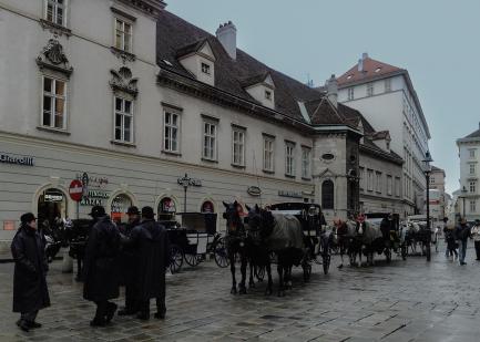 A carriage driver in the rain