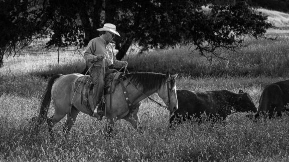 Working Cowboy End of Day