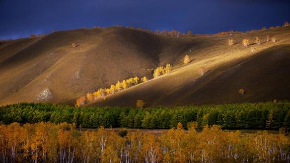 A ray of sunshine autumn color