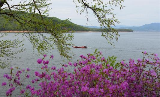 Spring arrives at Songhua Lake