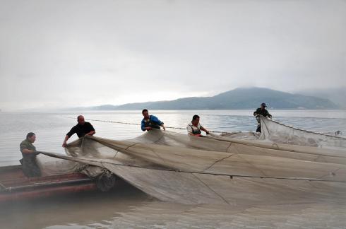 Jointly pulling the net