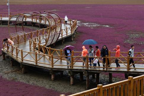 Red Beach in summer