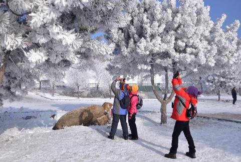 The attraction of rime