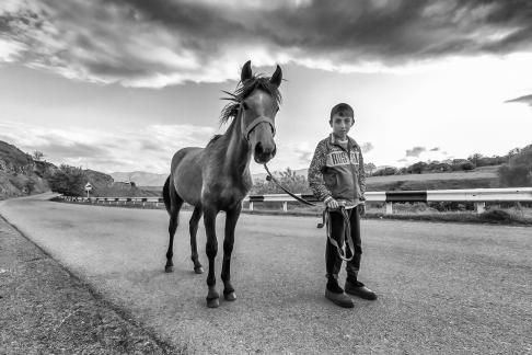 Boy with horse