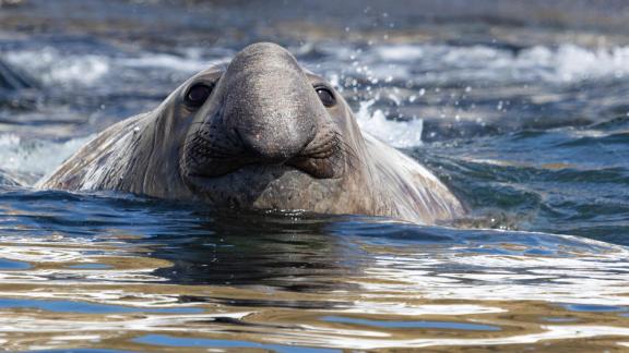 Having a Bath