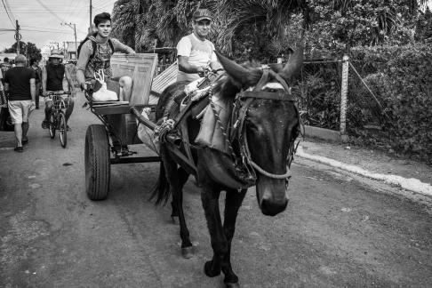 Horse drawn carriage