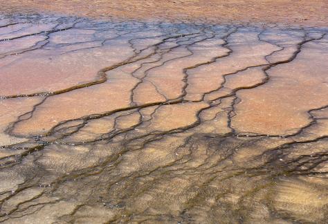 Geyser Runoff