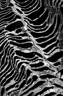 Winter Terraced Fields