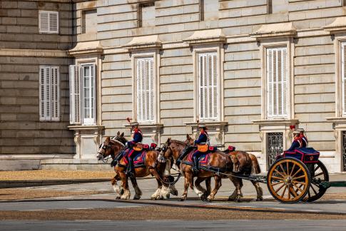 Celebration of Spanish King