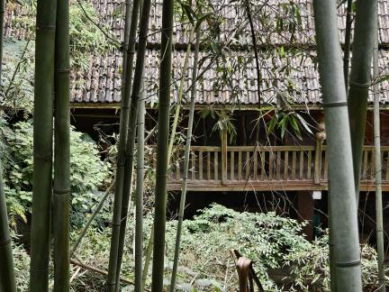 A small building in the forest