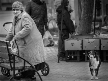 Woman and dog