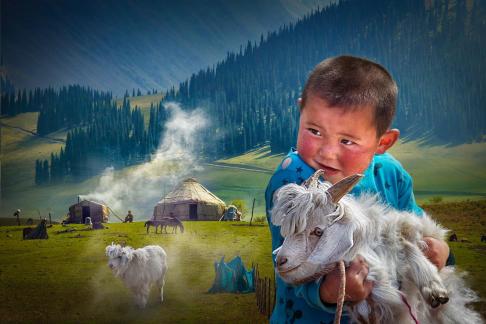 Boy and the sheep