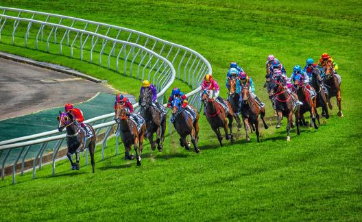 12 horses racing