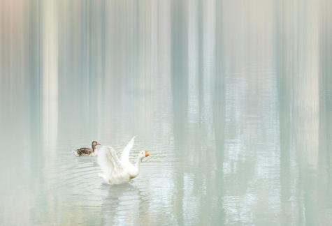Accompany