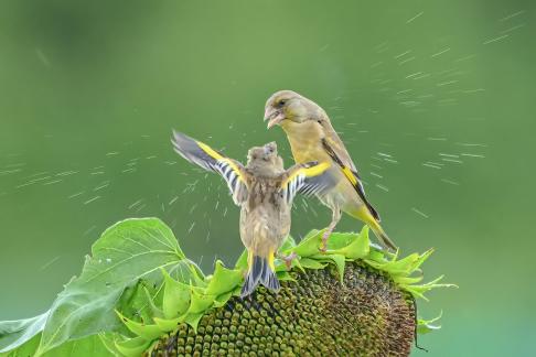 Love in the rain