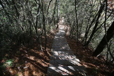 Mountain View Ancient Road 15