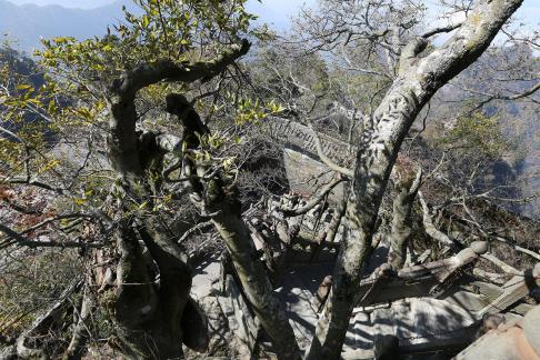 Journey to Wudang Mountain 77
