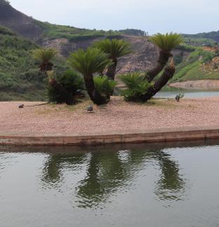 Green bank red rock 4