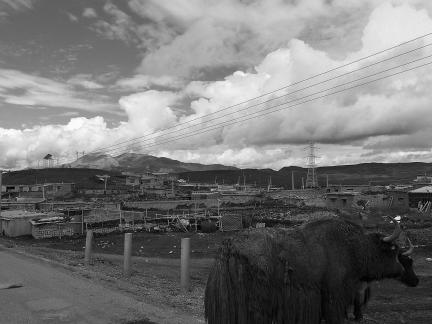 Yunye Pastoral Song 7