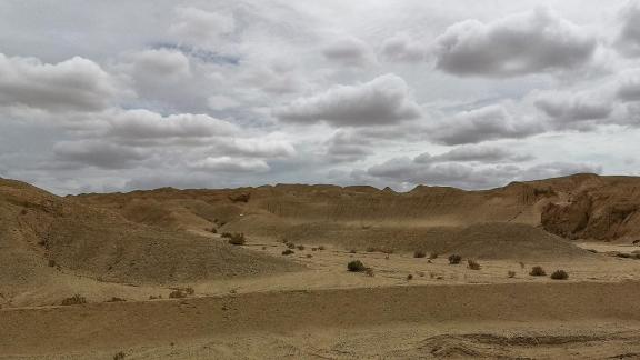 Breath of the Wilderness 6