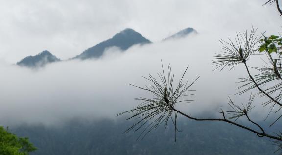 Green curtain hanging clouds 14