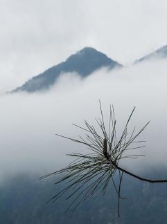 Green curtain hanging clouds 15