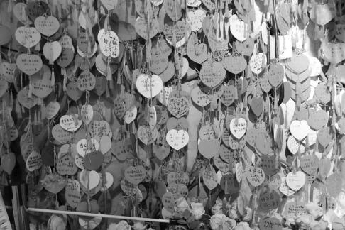 Millions of wishes 2