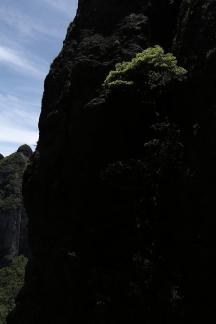 Green between cliffs 9